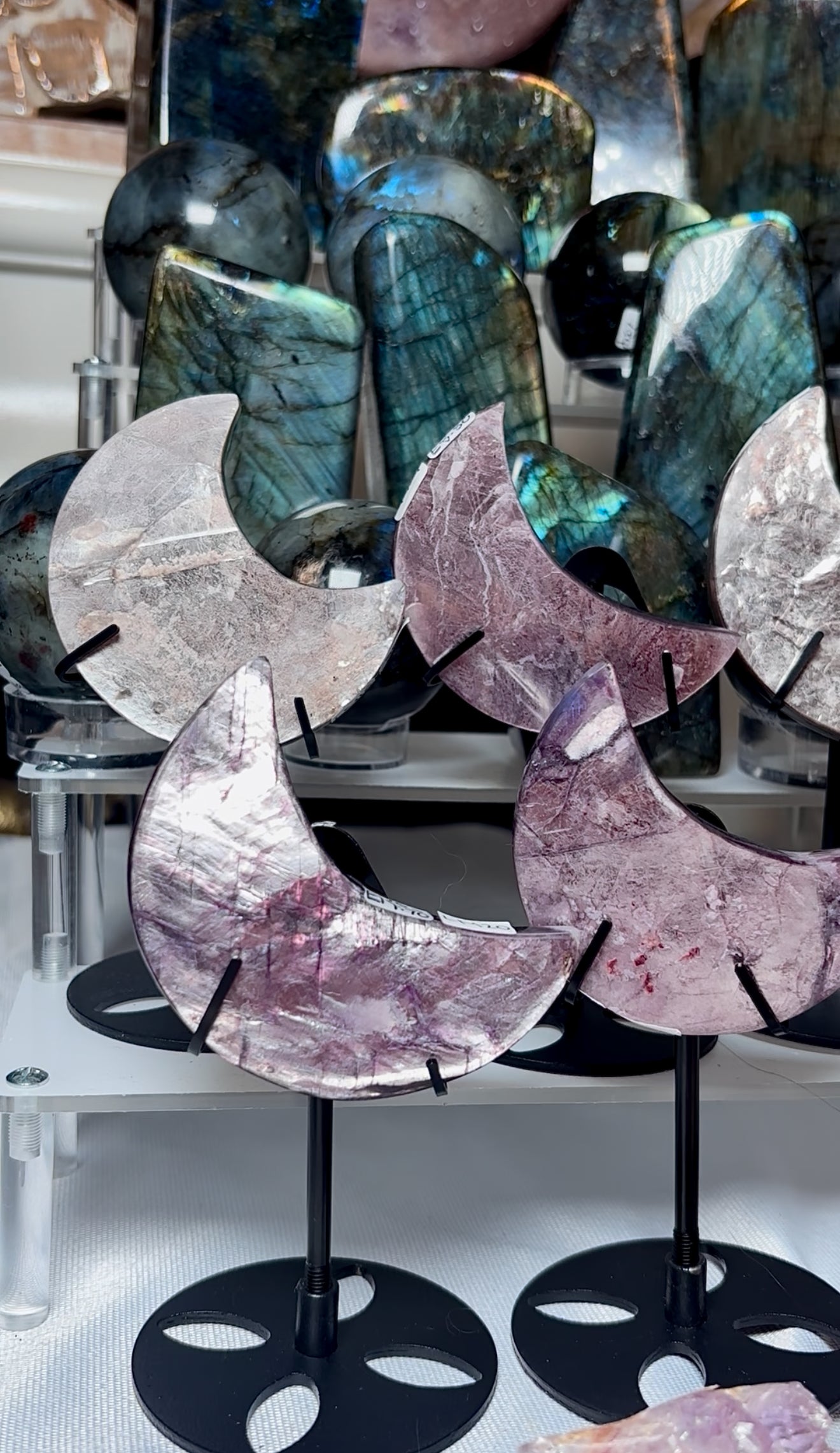 Jolly swan - winer wonderland claim