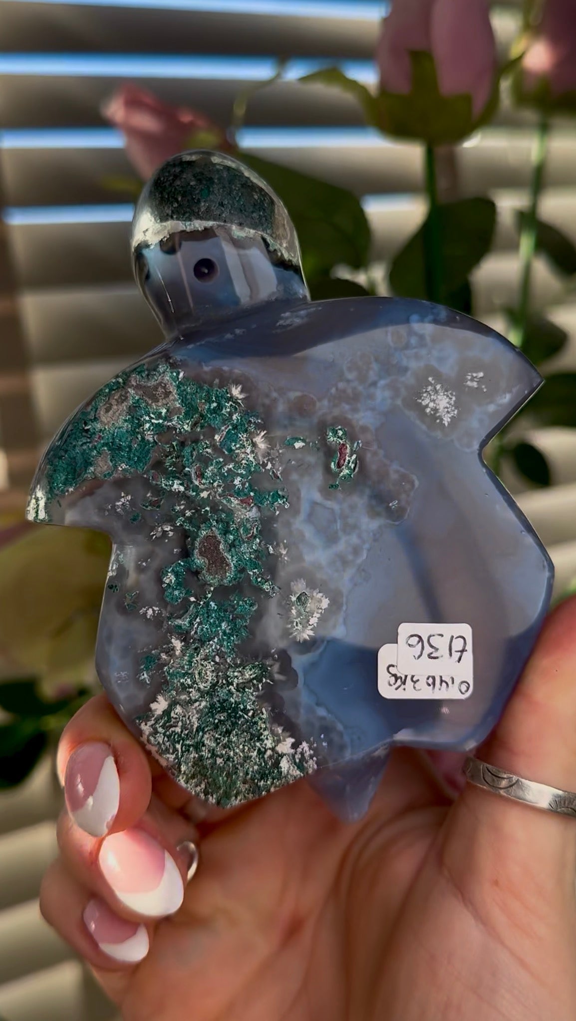 Beautiful, high grade, cute, agate sea turtle with druzy belly & Green jasper