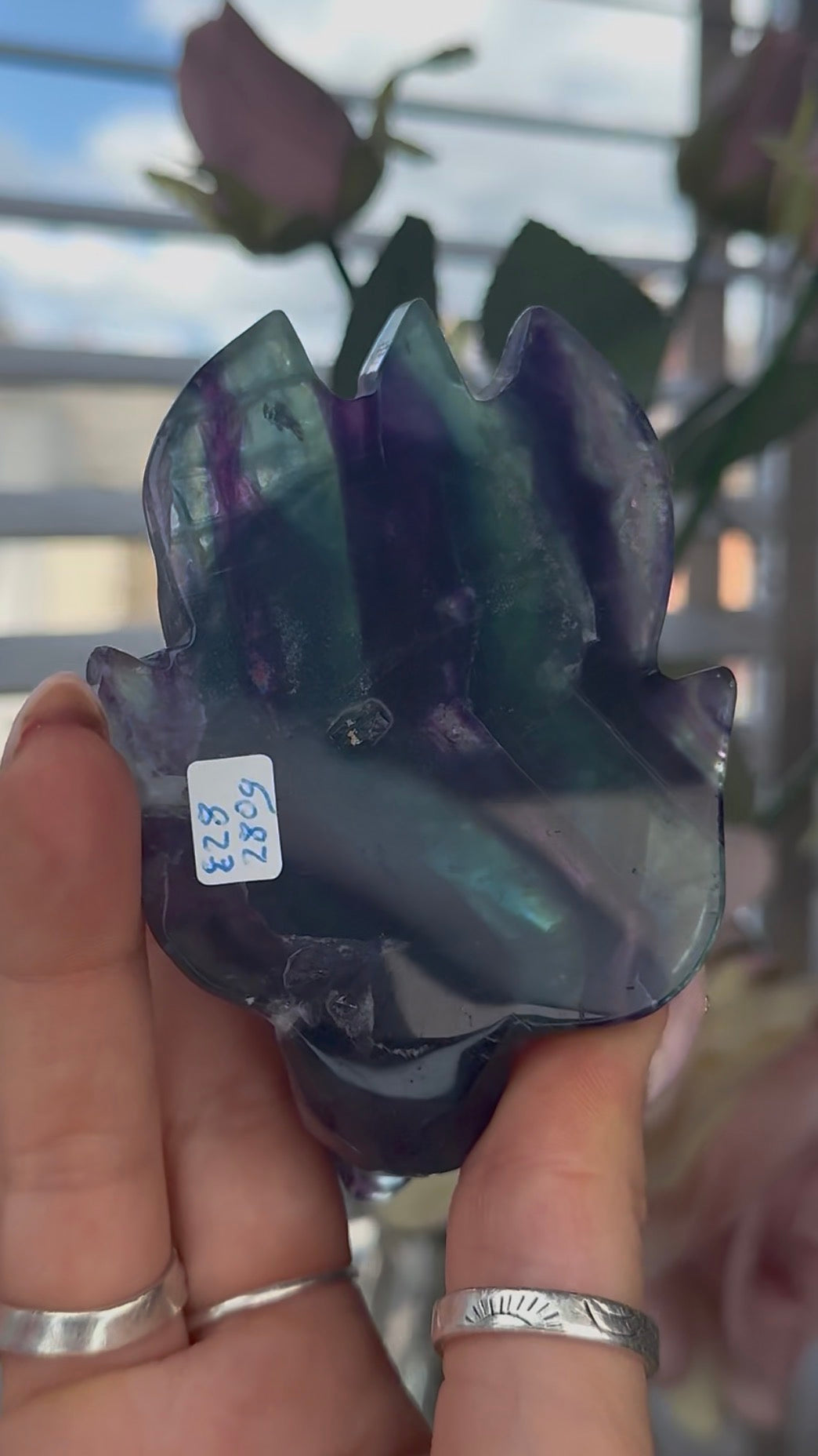 High grade, fluorite sea turtle in green & blue