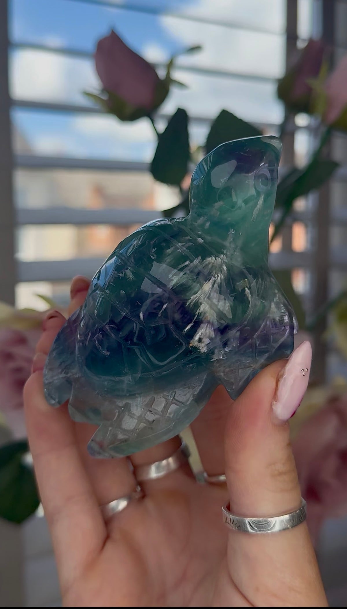 High grade, feather fluorite, sea turtle in green & blue