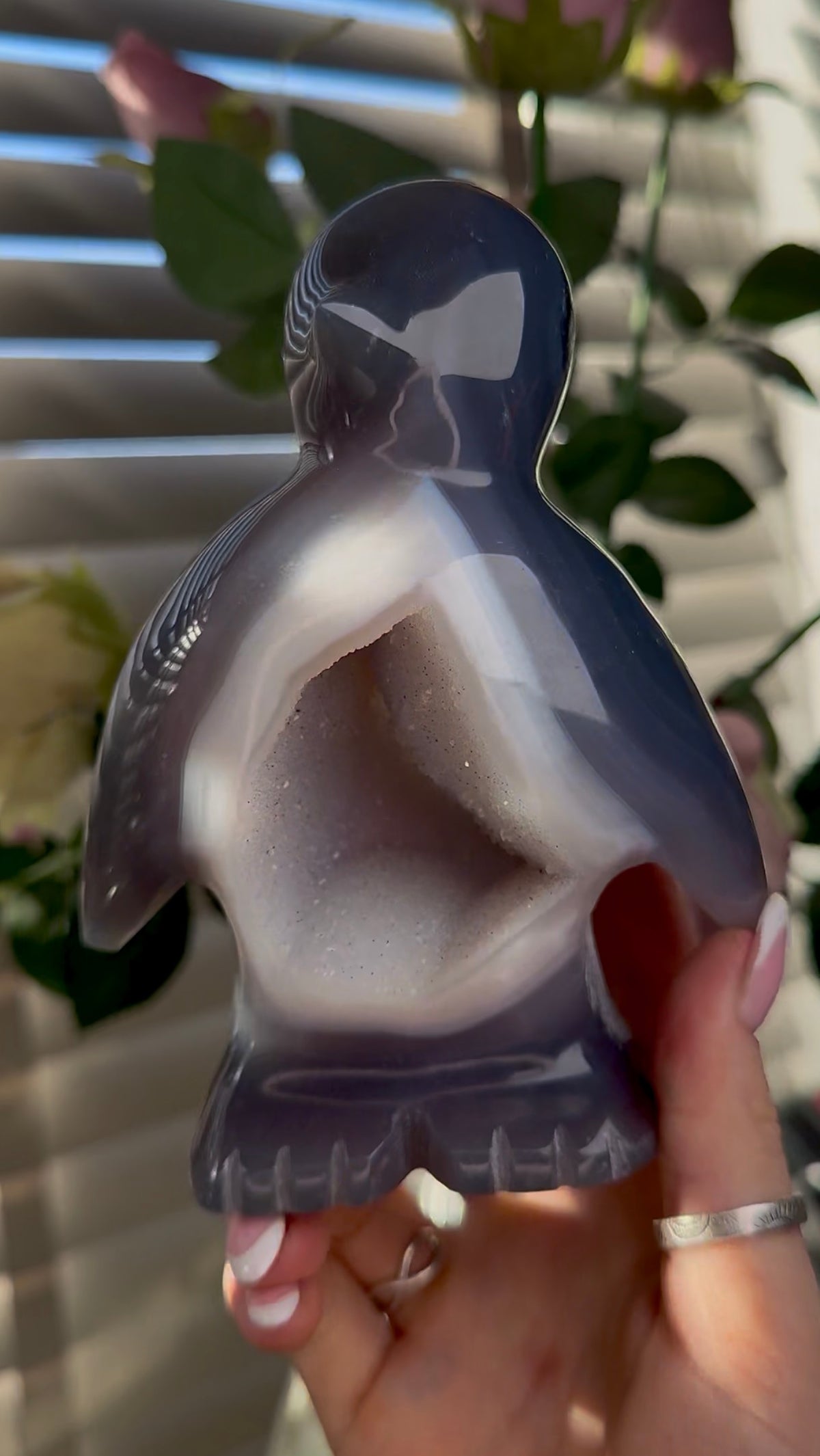 Beautiful, high grade, cute, agate penguin with druzy belly