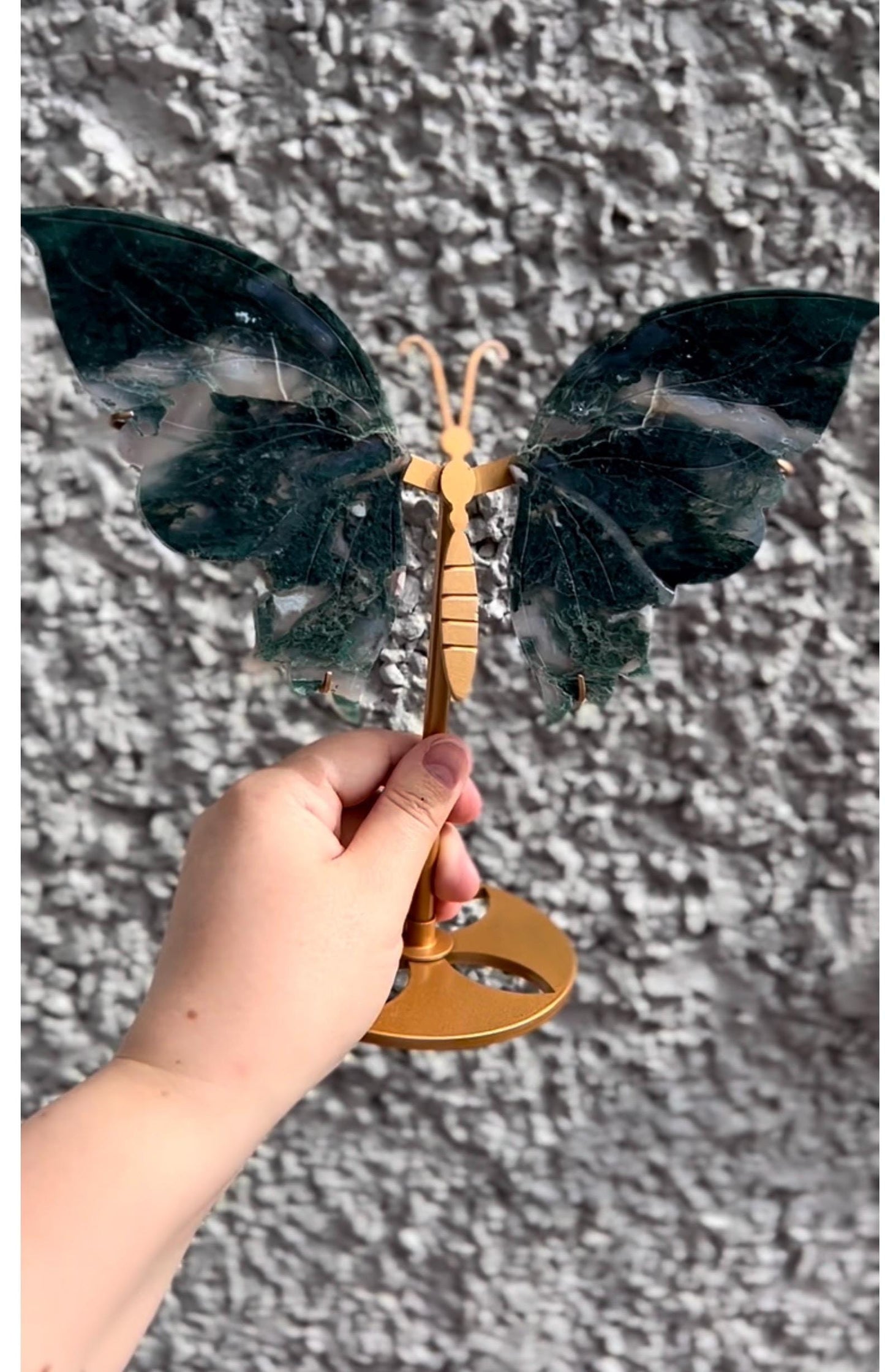 High quality, large, Moss agate butterfly wings