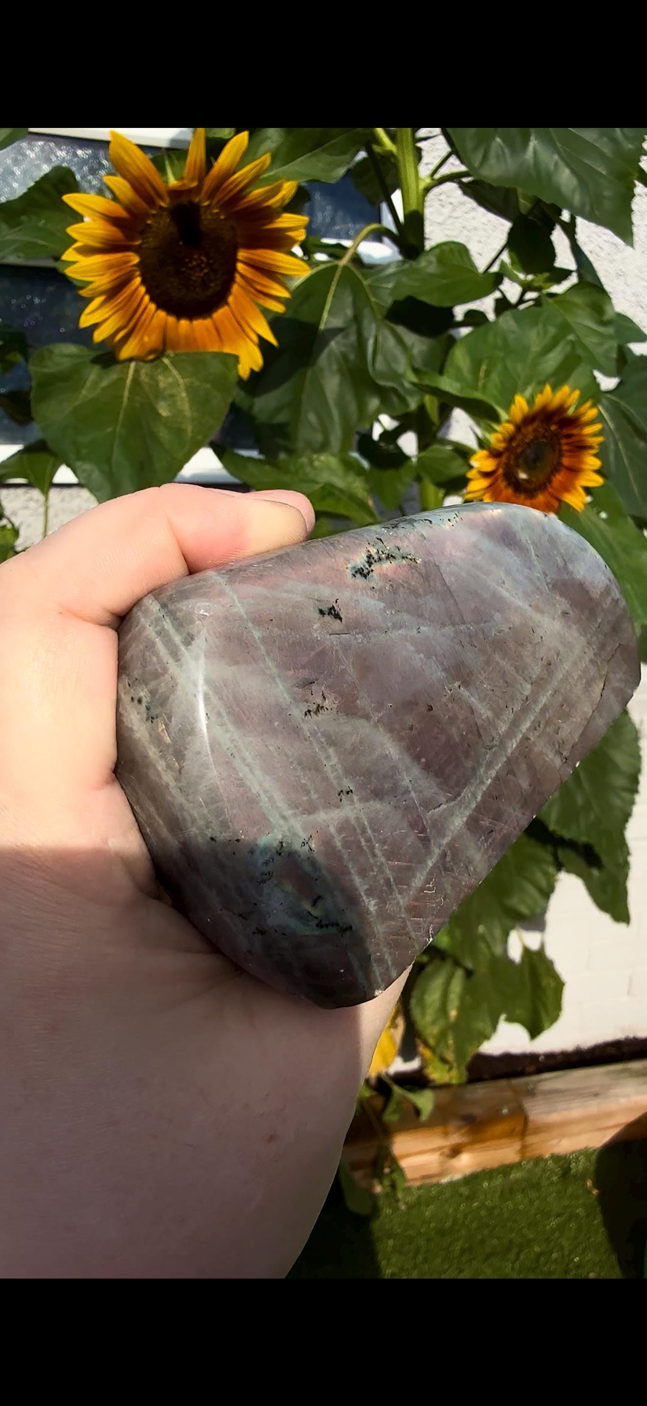 Light Flashy labradorite pink/peach sunset flash 510g