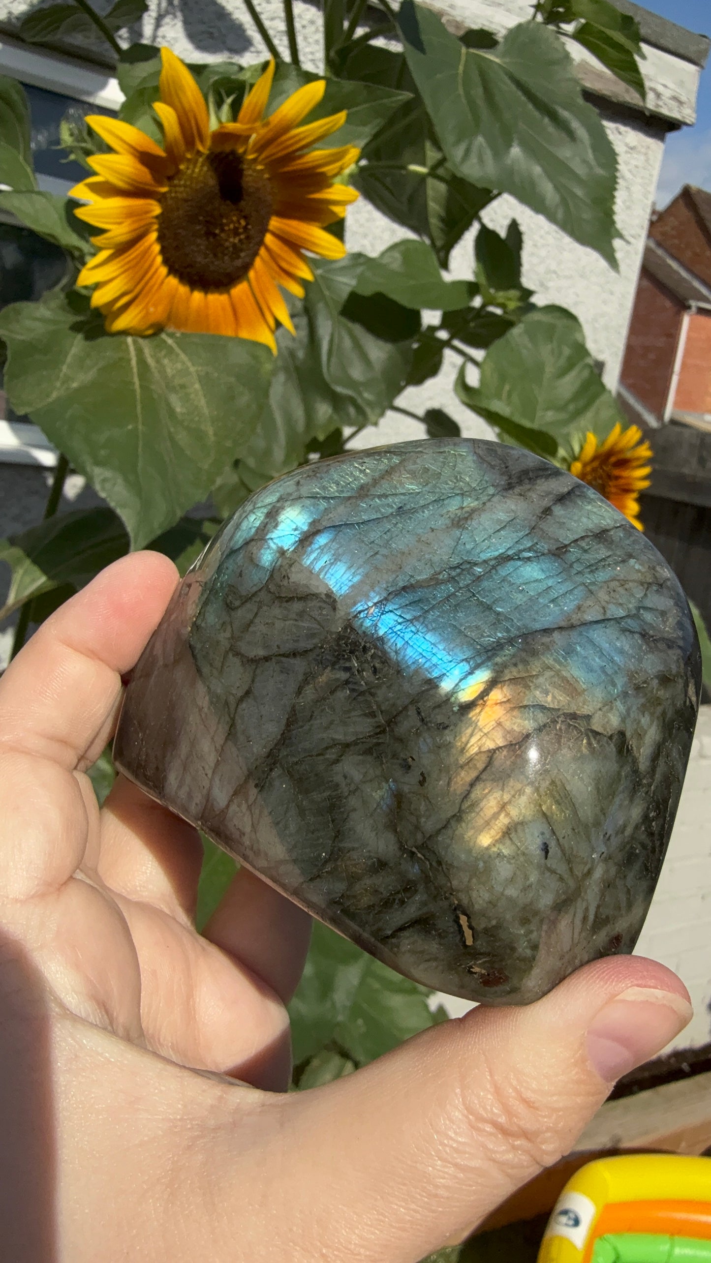 Flashy golden yellow Labradorite Freeform 550g