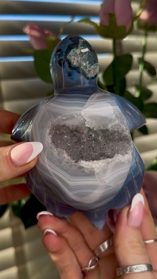 Beautiful, high grade, cute, agate sea turtle with druzy belly & Green jasper