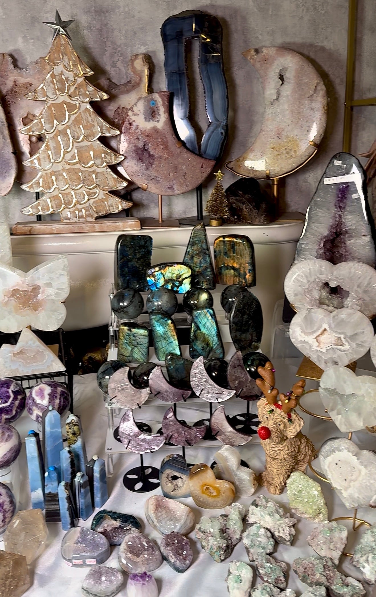 Claire brazier - winter wonderland claims