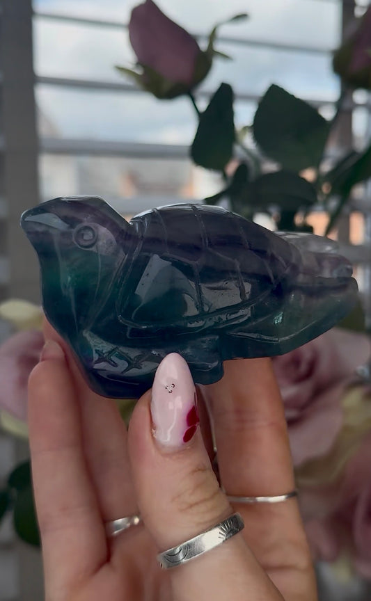 High grade, fluorite sea turtle in green & blue