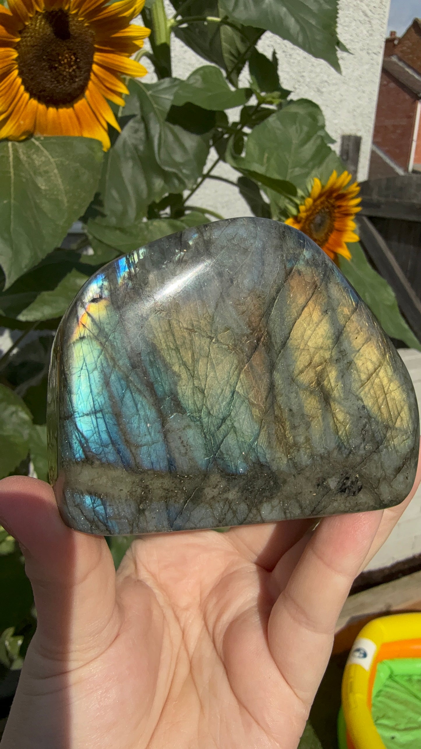 Flashy golden yellow Labradorite Freeform 550g