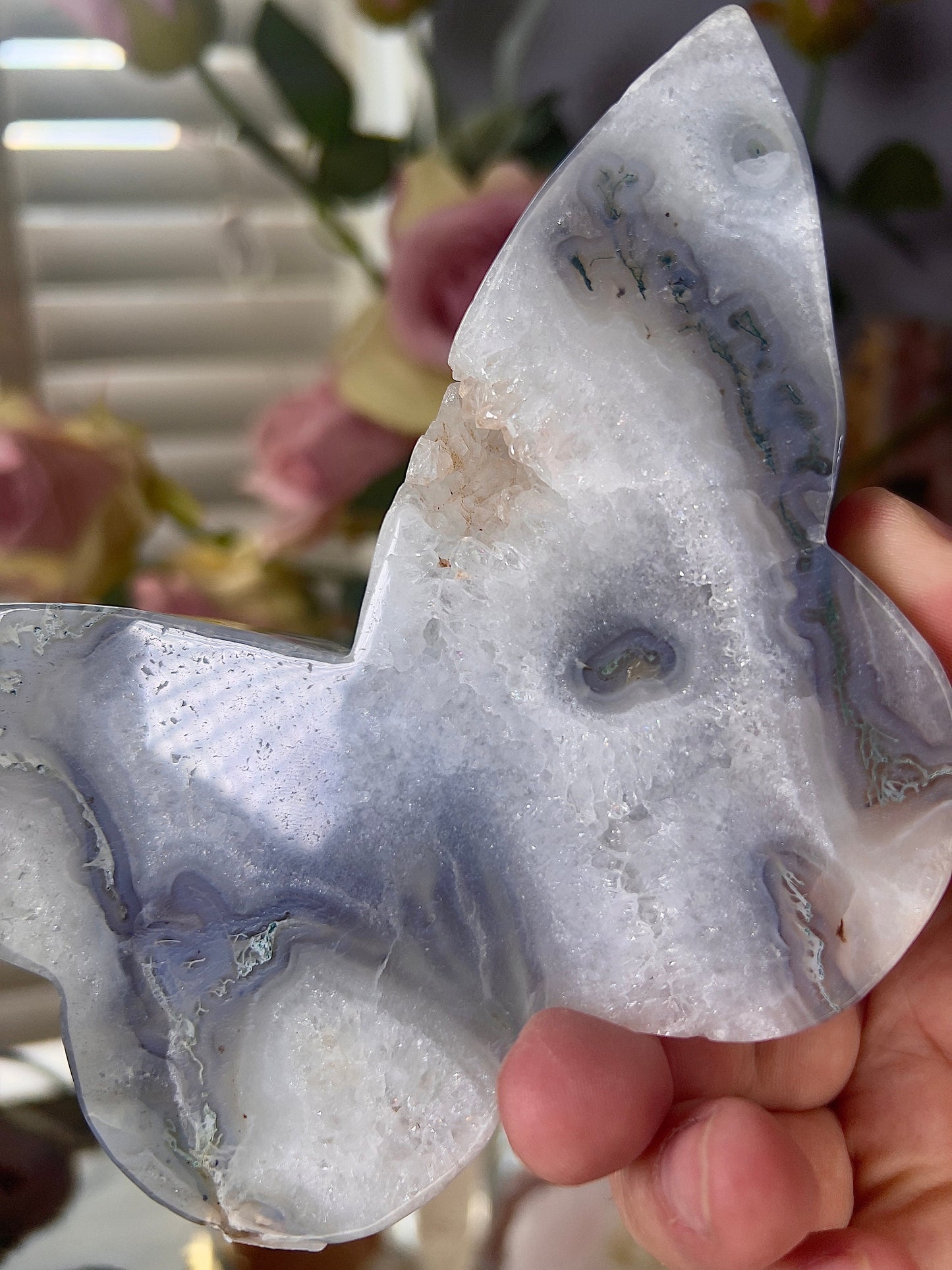 High grade, blue moss agate & quartz, butterfly with, gold pedestal stand