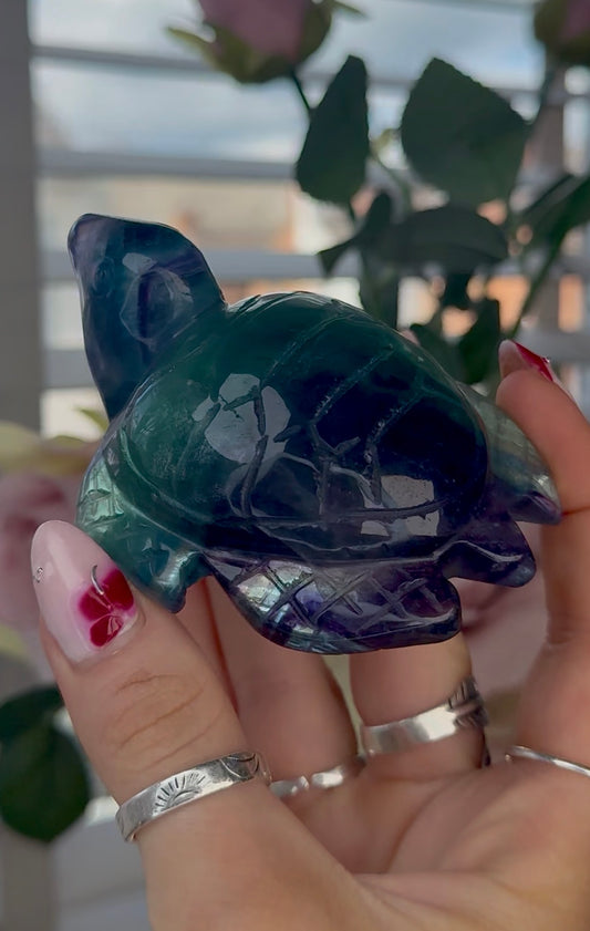 High grade, fluorite sea turtle in green & blue