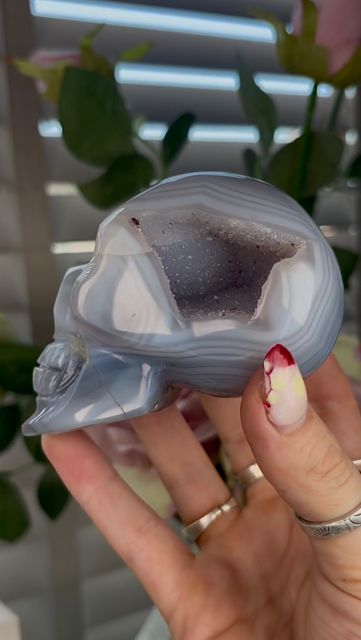 Beautiful, blue banded agate skull