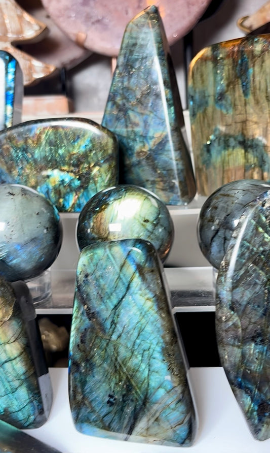 Alicer design - winter wonderland claims