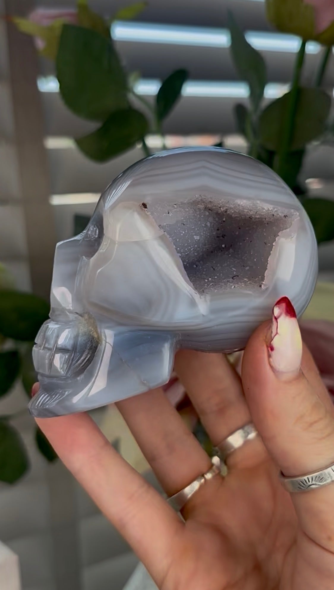 Beautiful, blue banded agate skull