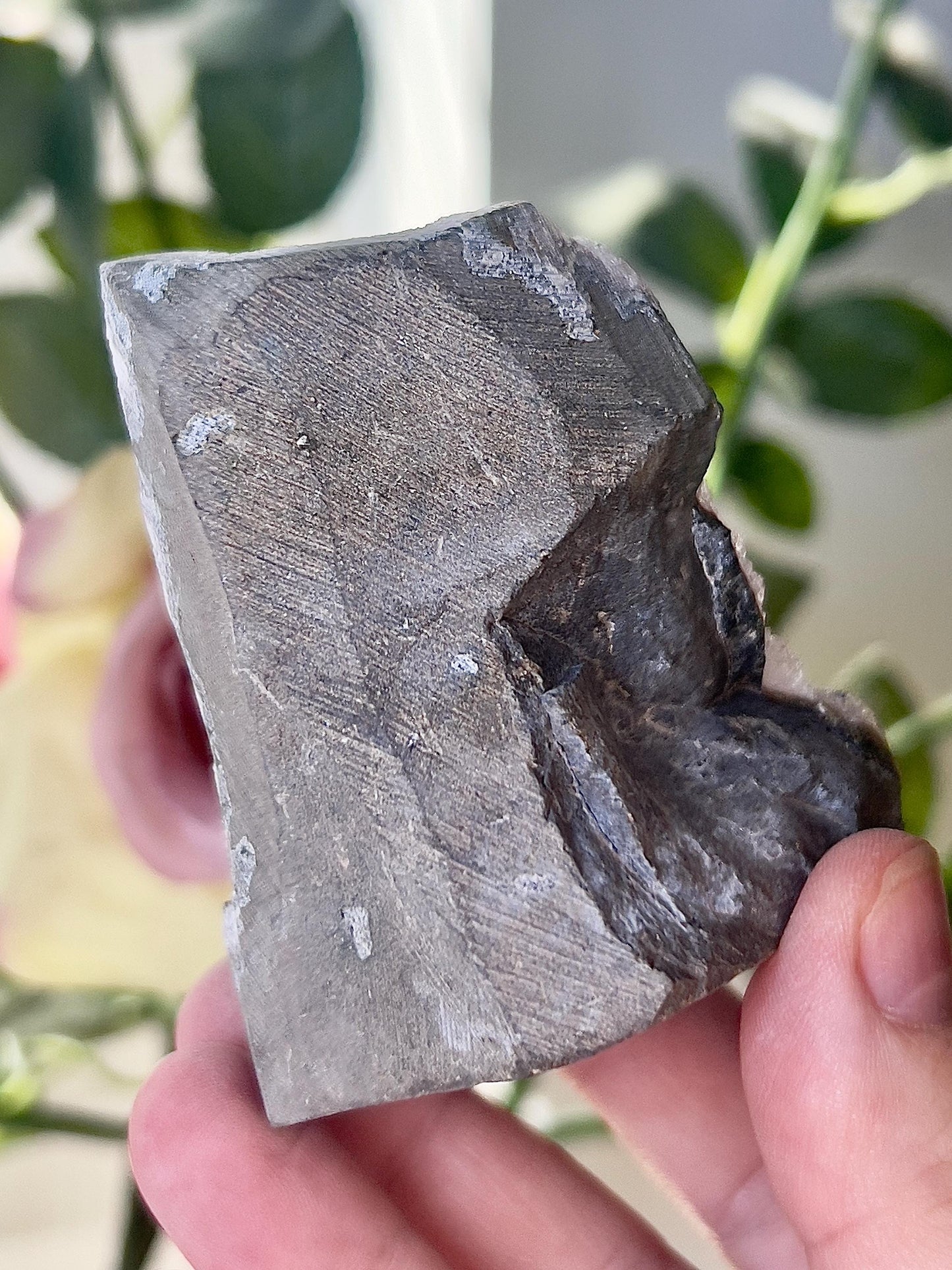 amethyst cutbase freeform - 175g 7cm(h) 6cm(w)