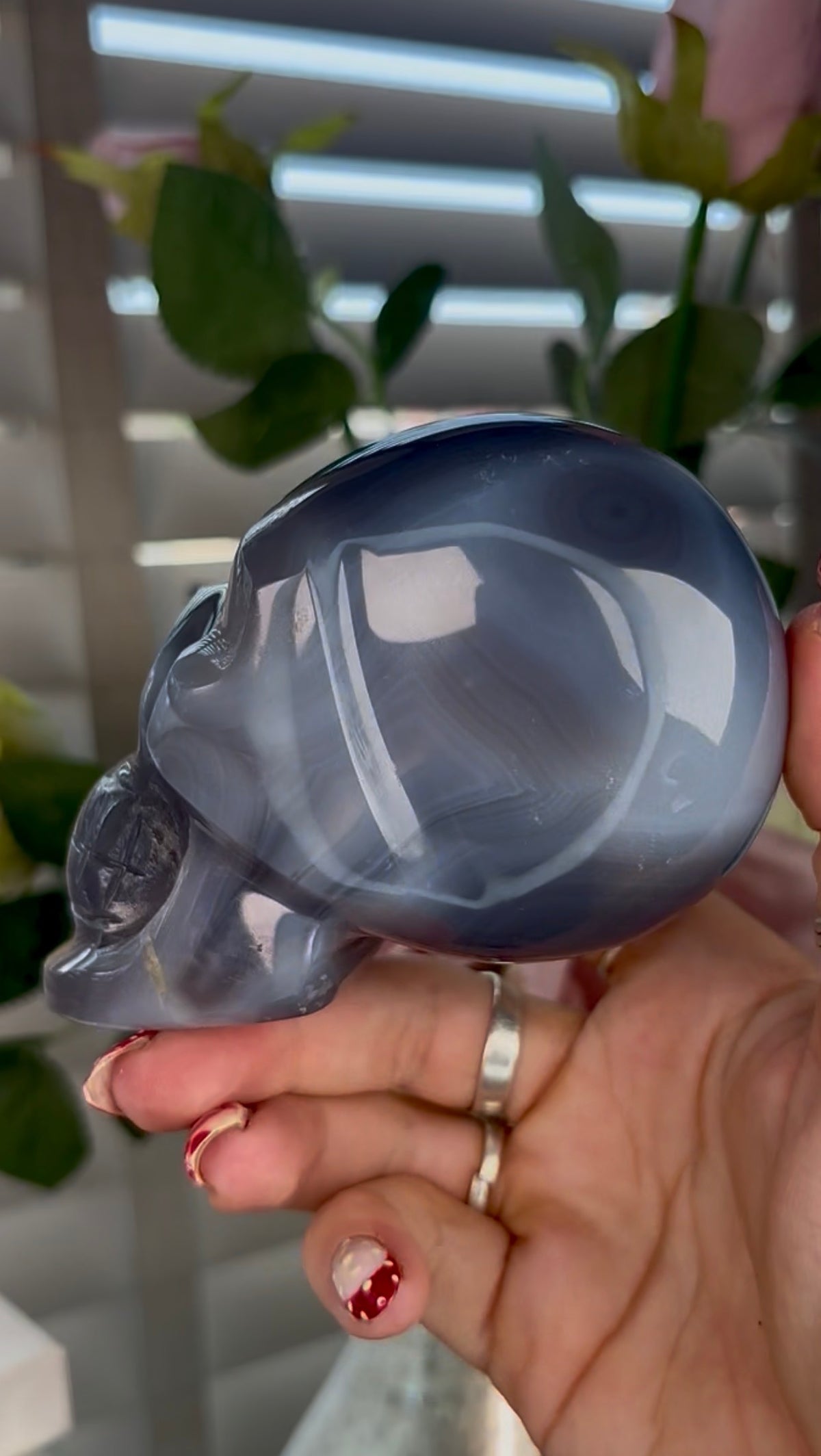 Beautiful, blue banded agate skull