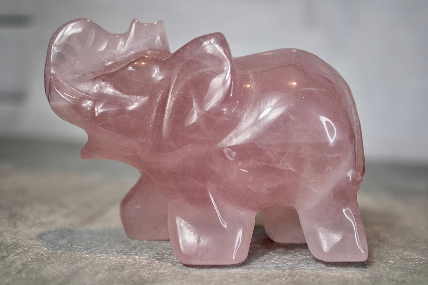 Starlight, rose quartz, elephant, carving 7.5cm (H) 10cm(L)