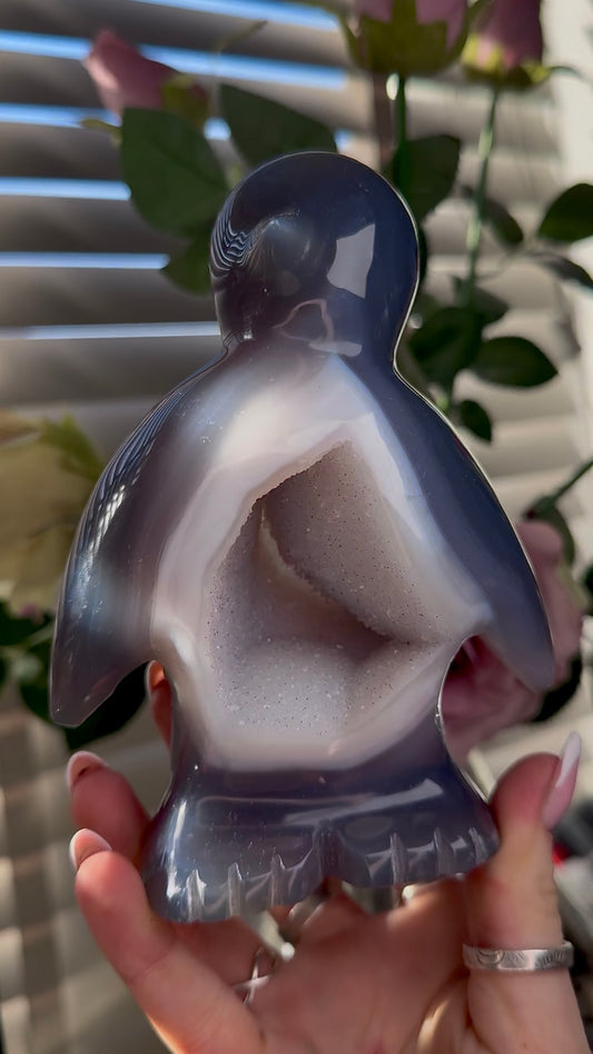 Beautiful, high grade, cute, agate penguin with druzy belly
