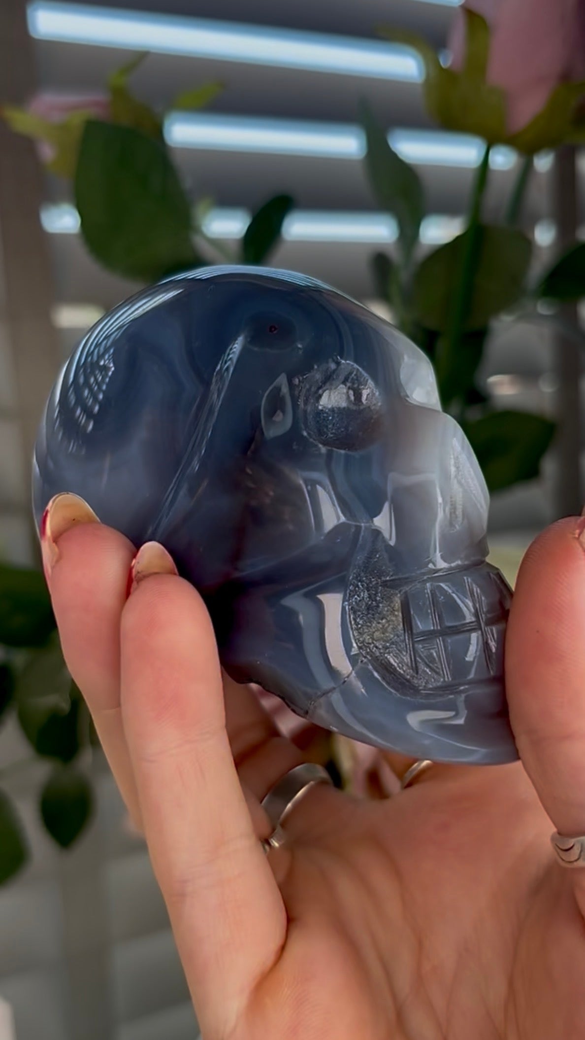 Beautiful, blue banded agate skull