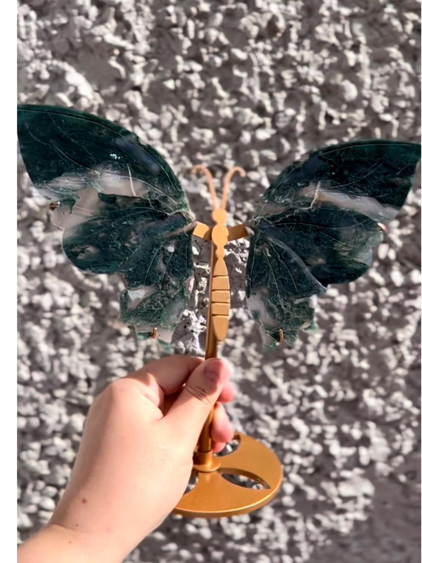 High quality, large, Moss agate butterfly wings