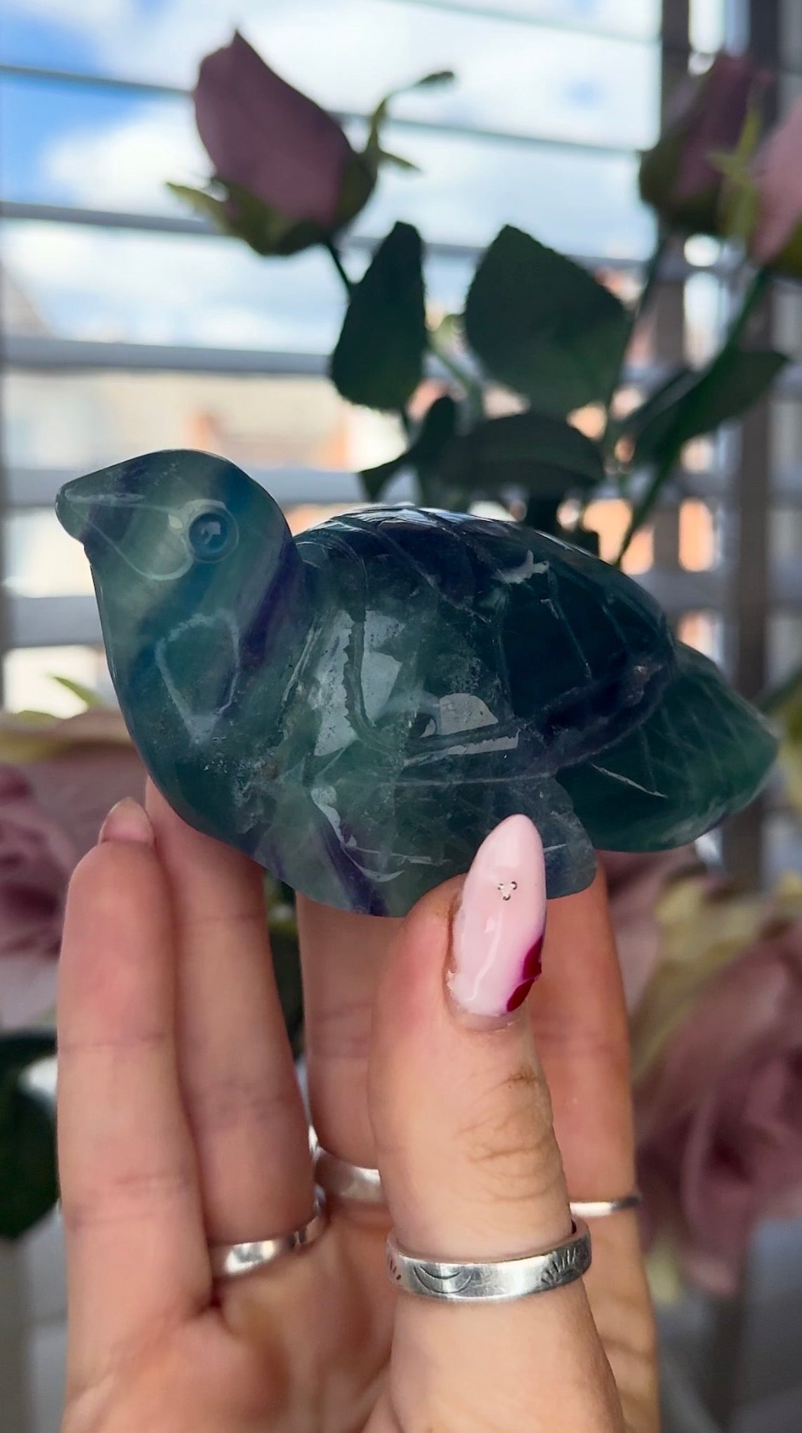 High grade, fluorite sea turtle in green & blue