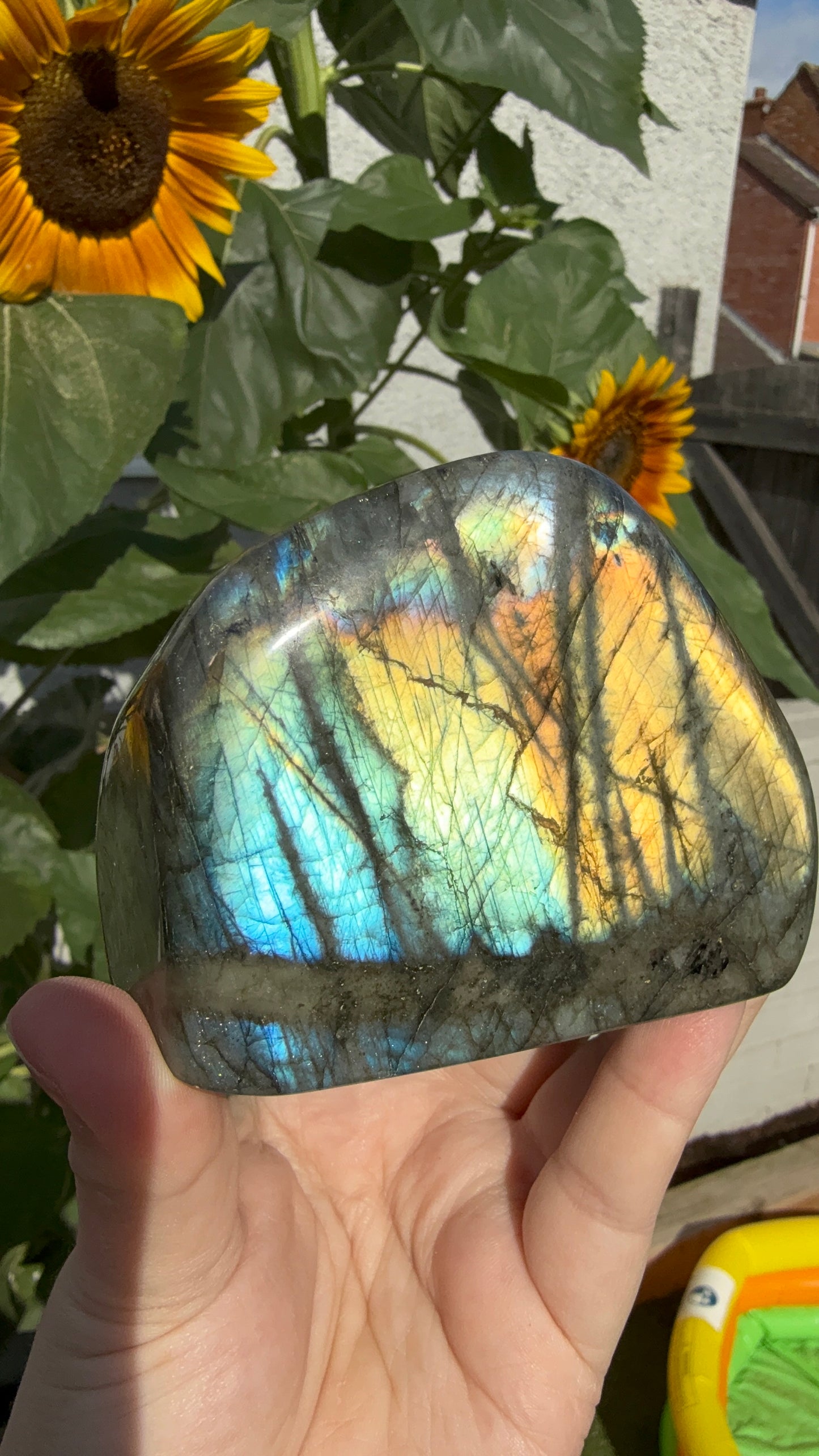 Flashy golden yellow Labradorite Freeform 550g