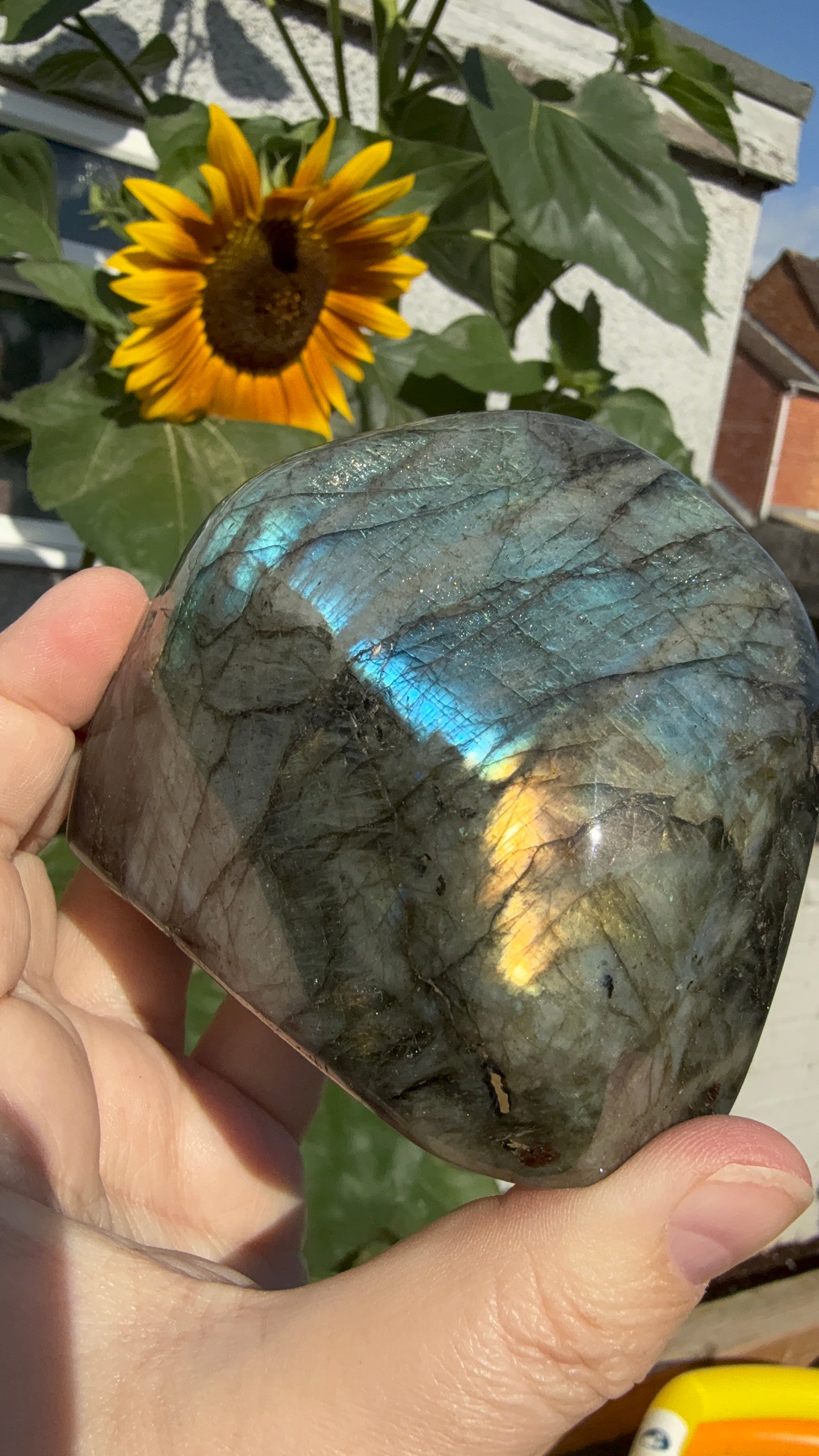 Flashy golden yellow Labradorite Freeform 550g