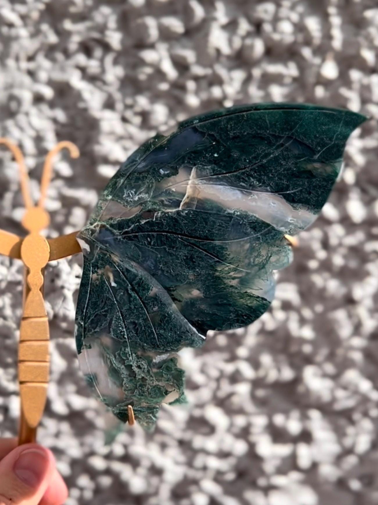 High quality, large, Moss agate butterfly wings