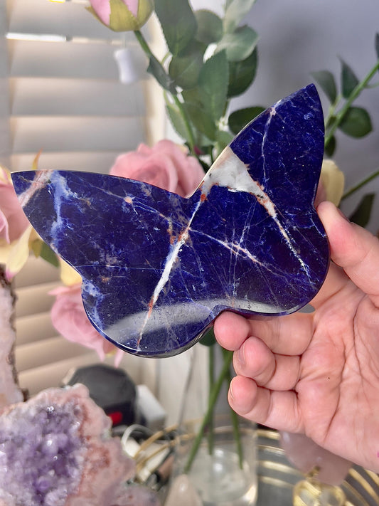 Blue sodalite butterfly (self standing)
