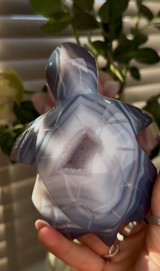 Beautiful, high grade, cute banded agate, sea turtle with druzy