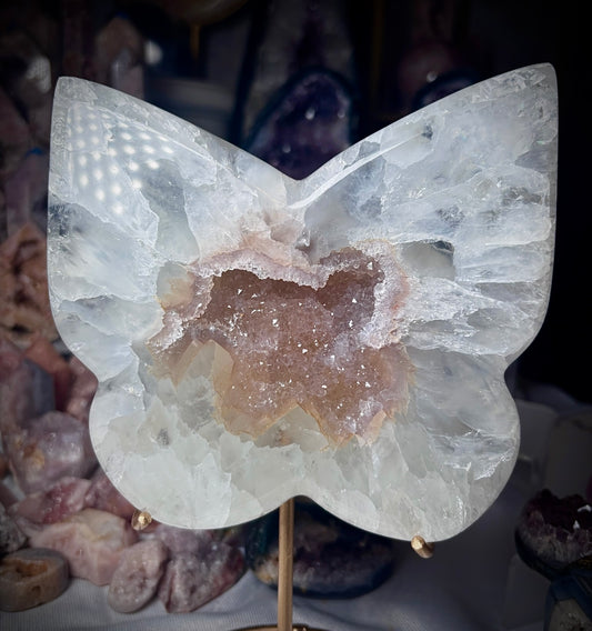 Autumn winter wonderland claims