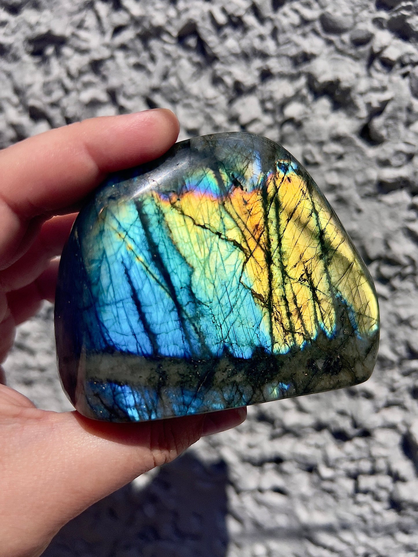 Flashy golden yellow Labradorite Freeform 550g