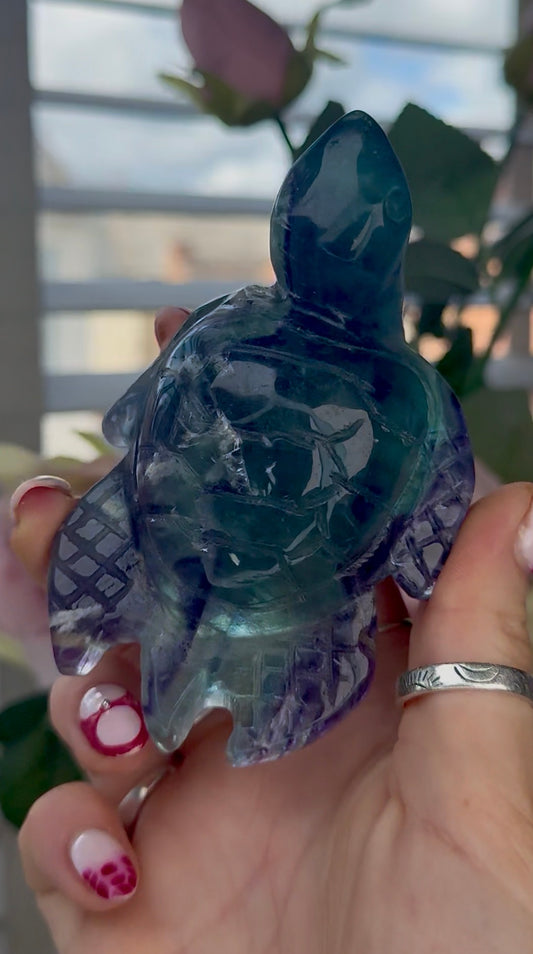 High grade, fluorite sea turtle in green & blue