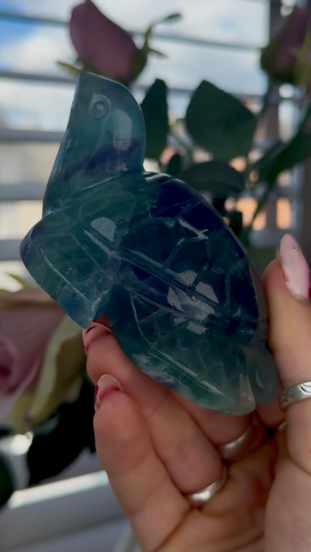 High grade, fluorite sea turtle in green & blue