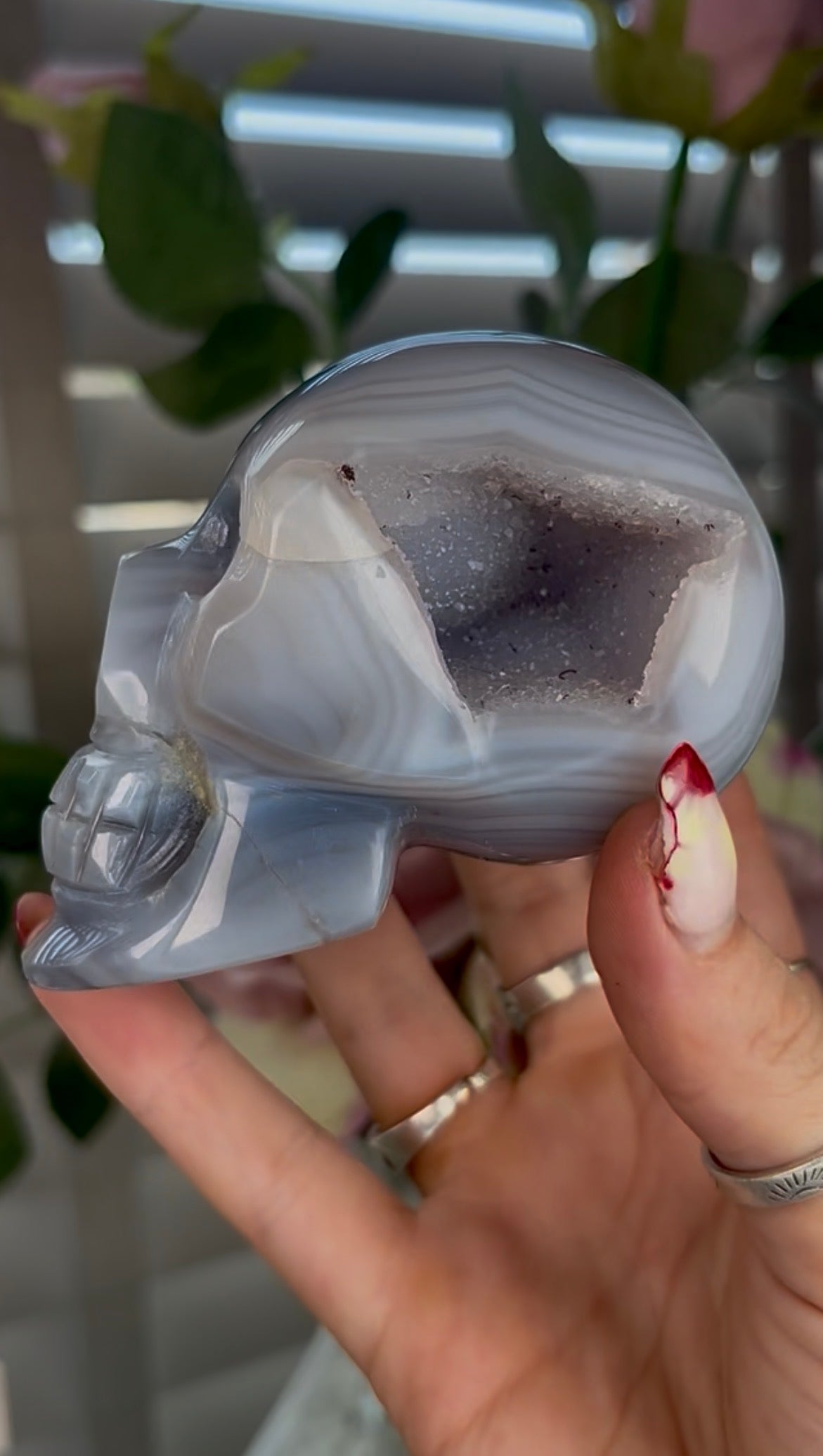 Beautiful, blue banded agate skull