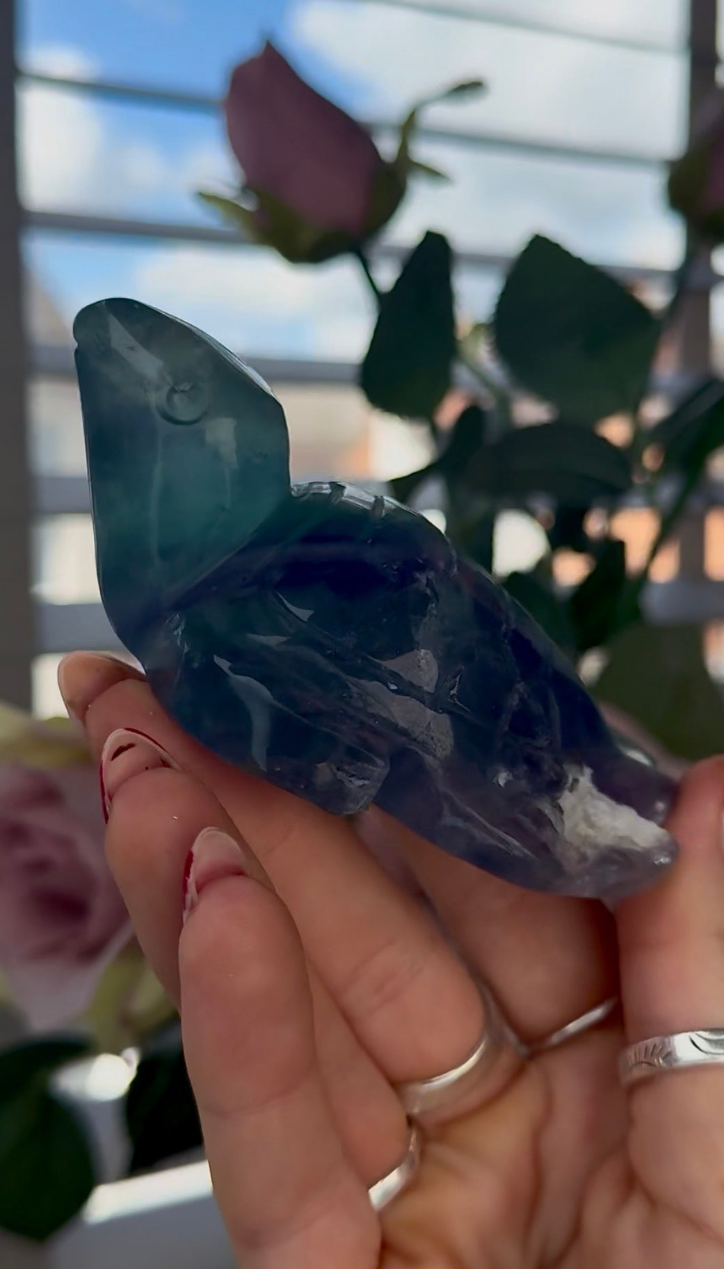 High grade, fluorite sea turtle in green & blue