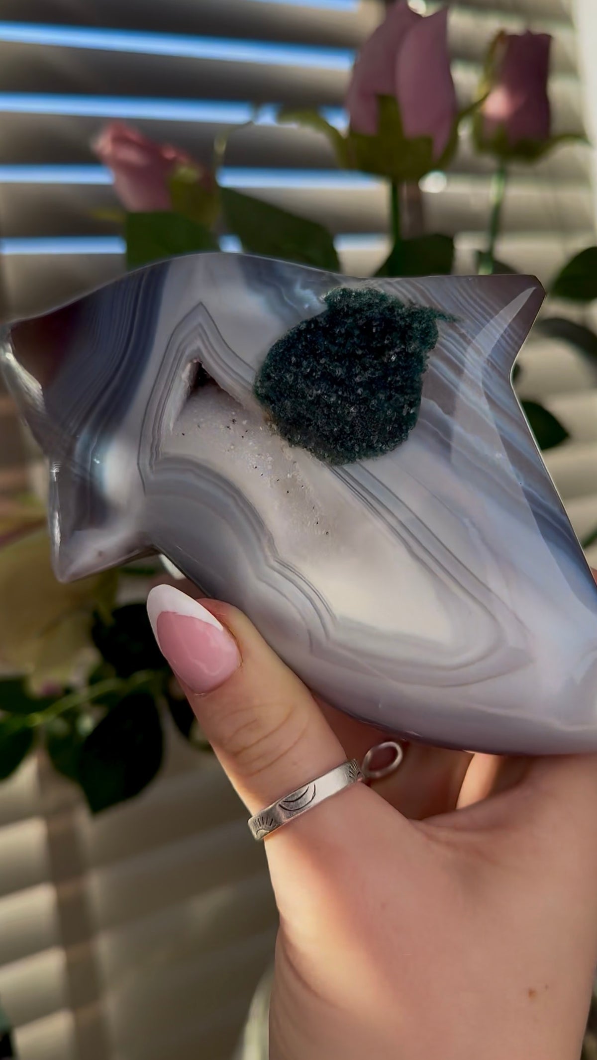 Beautiful, high grade, cute, banded agate dolphin with druzy & Green jasper