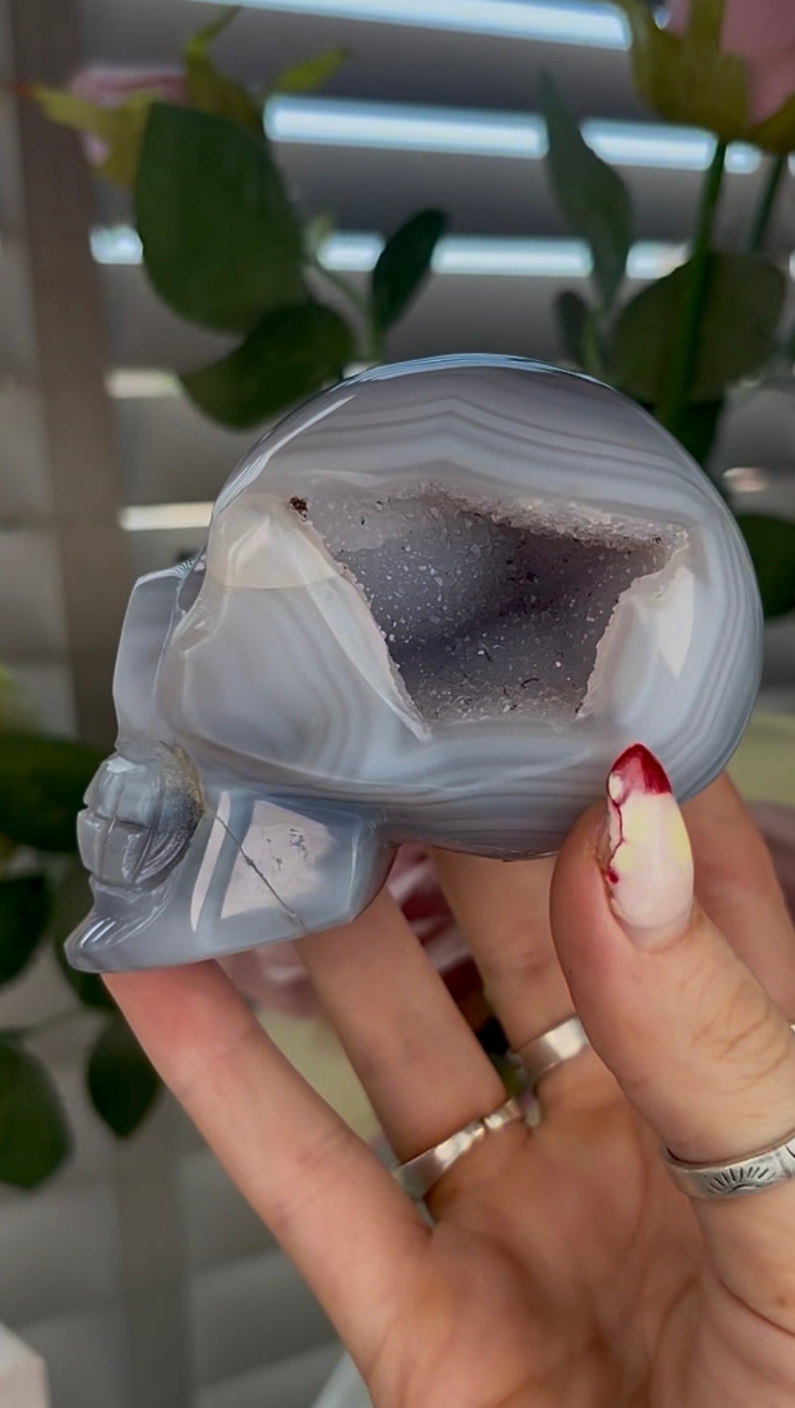 Beautiful, blue banded agate skull