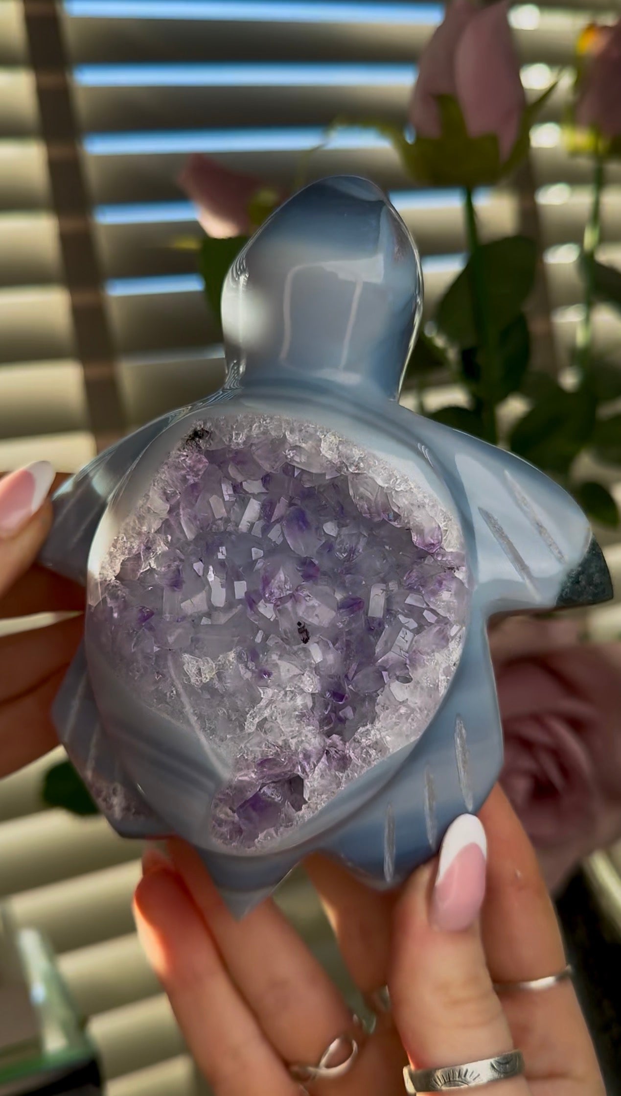 Beautiful, high grade, cute amethsyt agate, sea turtle with purple druzy
