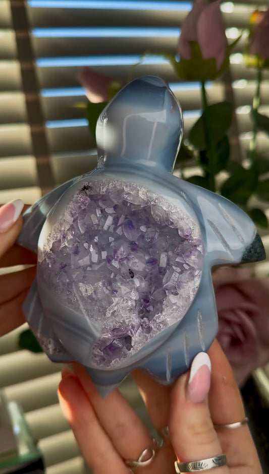 Beautiful, high grade, cute amethsyt agate, sea turtle with purple druzy