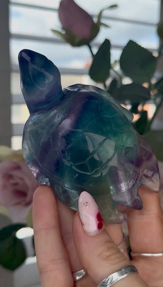 High grade, fluorite sea turtle in green & blue