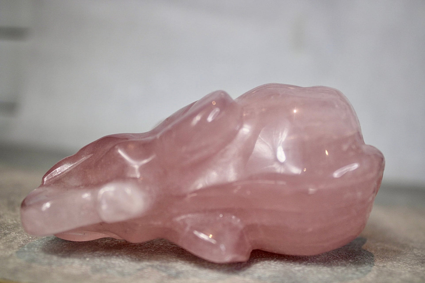 Starlight, rose quartz, elephant, carving 7.5cm (H) 10cm(L)