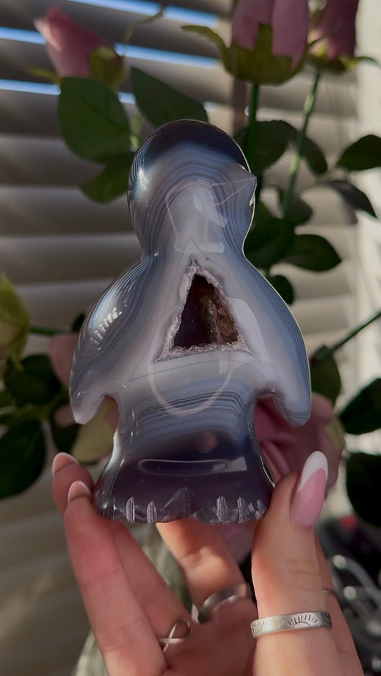Beautiful, high grade, cute, agate penguin with druzy belly