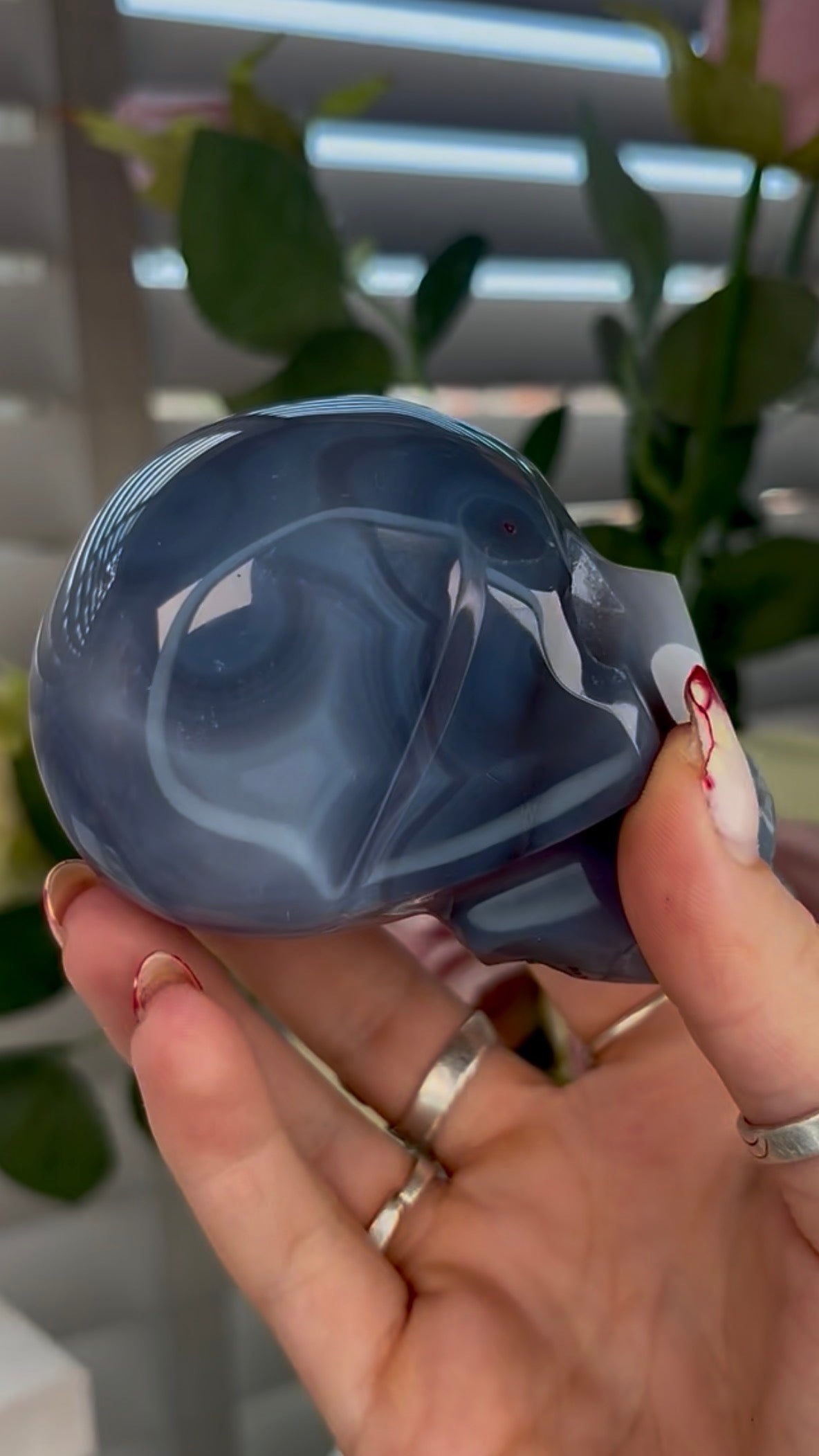 Beautiful, blue banded agate skull
