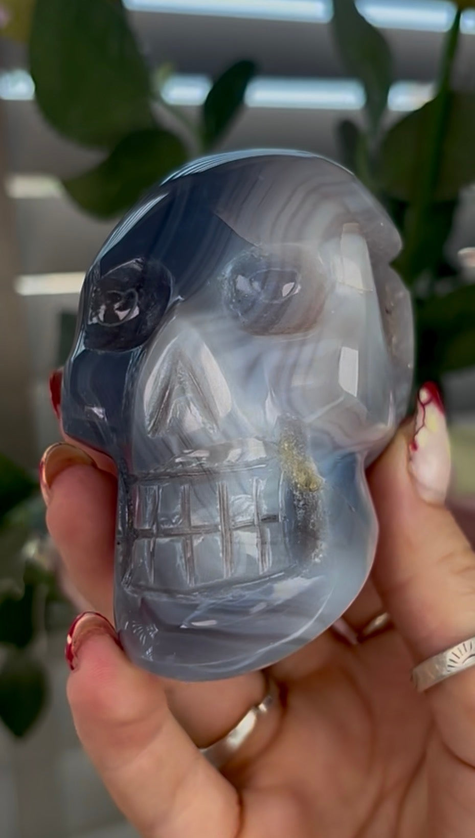 Beautiful, blue banded agate skull