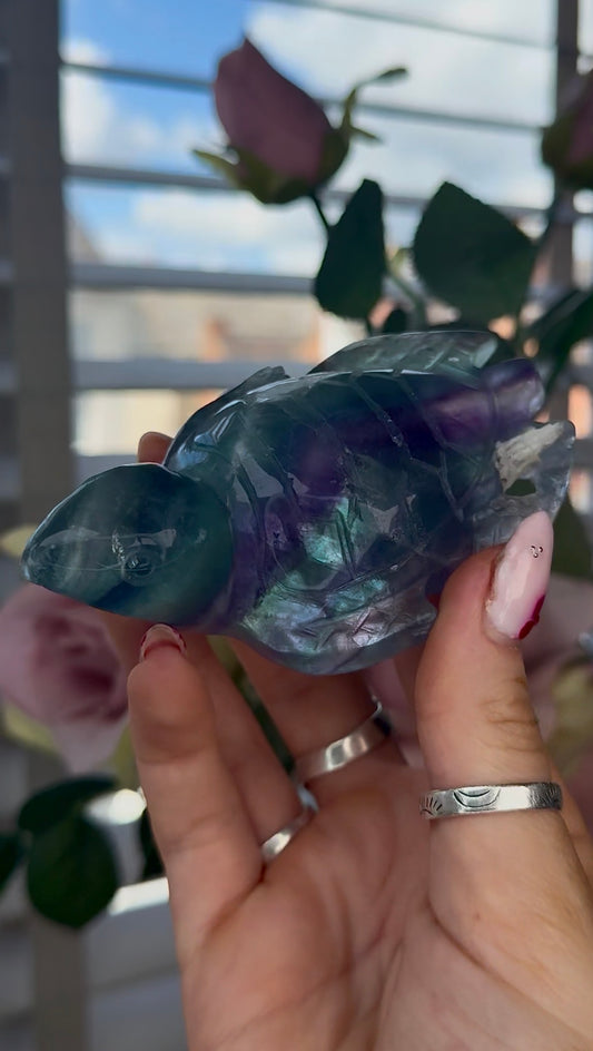 High grade, fluorite sea turtle in green & blue