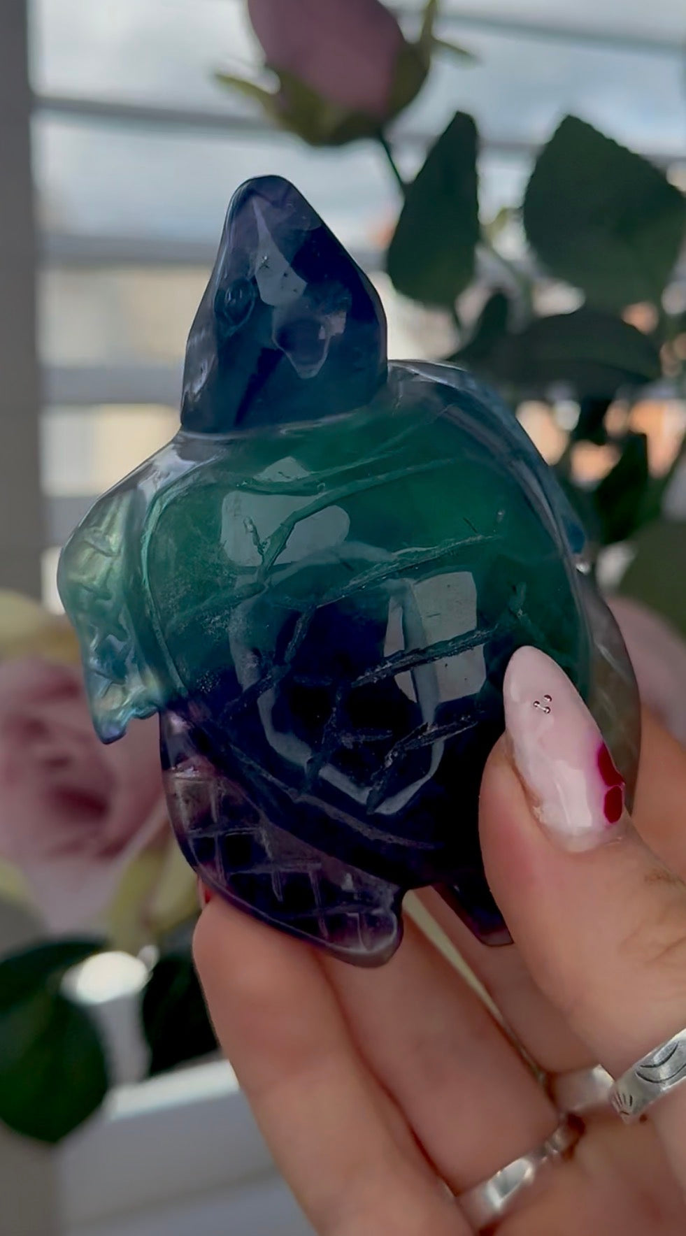 High grade, fluorite sea turtle in green & blue