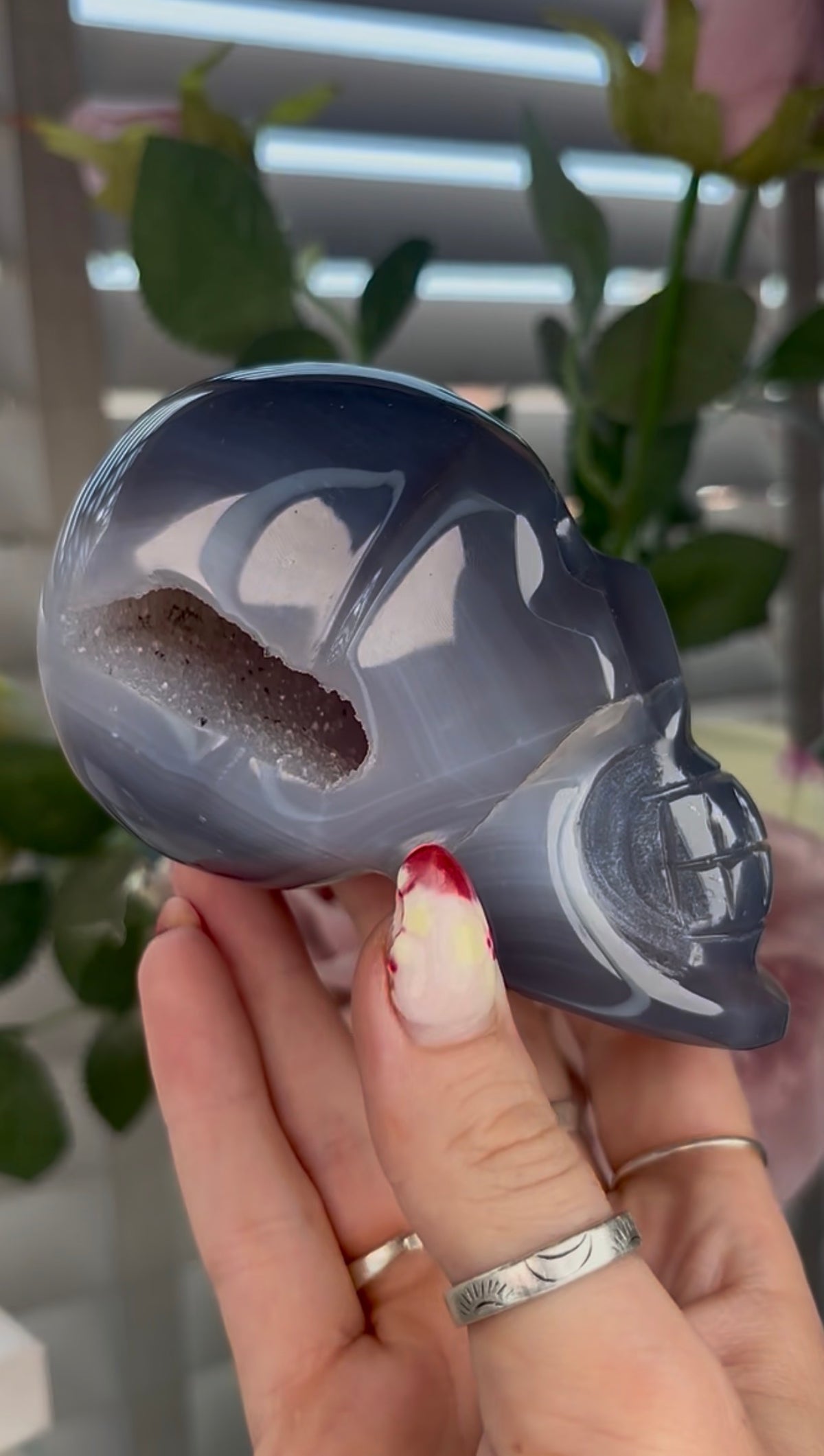 Beautiful, blue banded agate skull