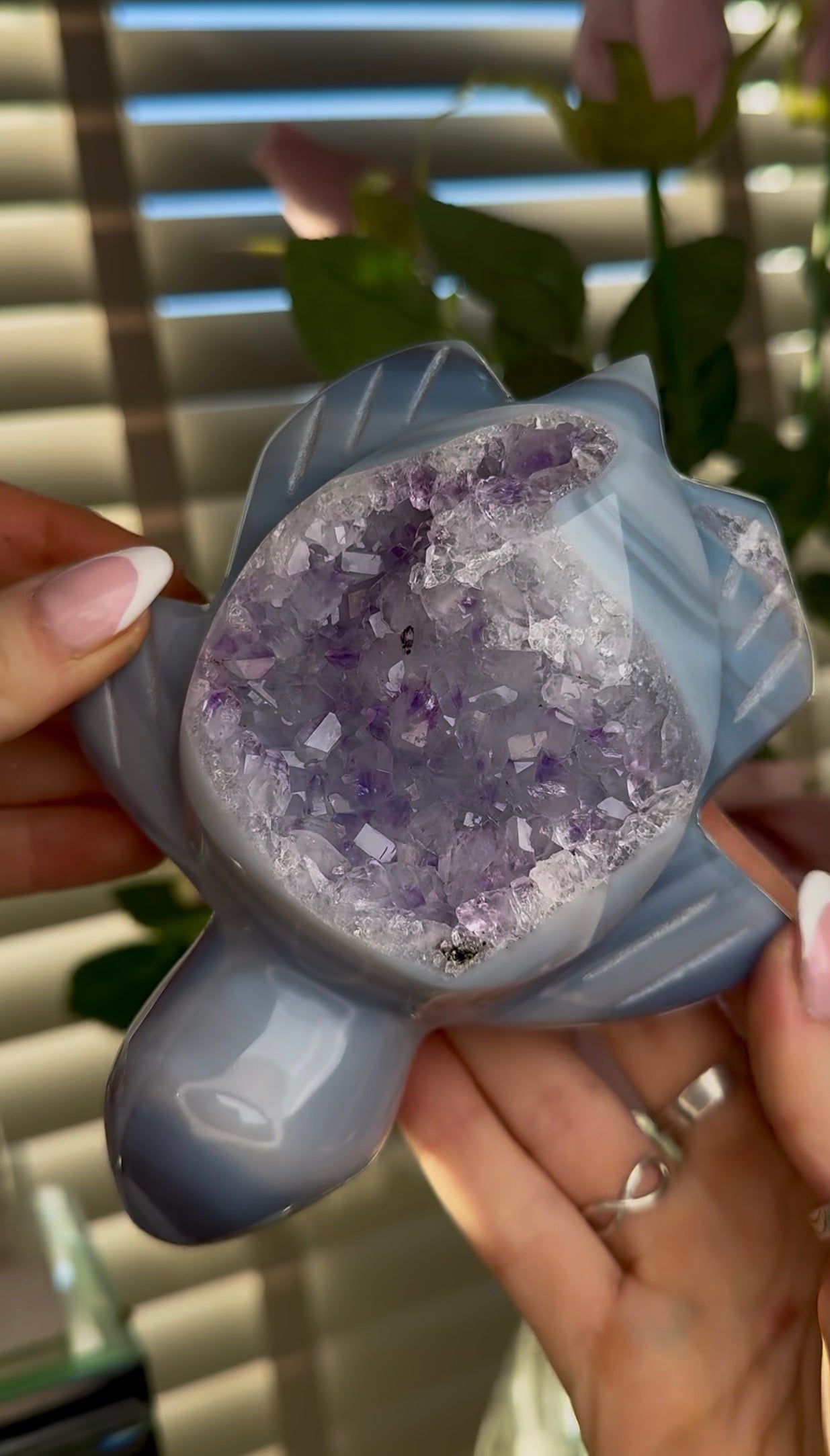 Beautiful, high grade, cute amethsyt agate, sea turtle with purple druzy