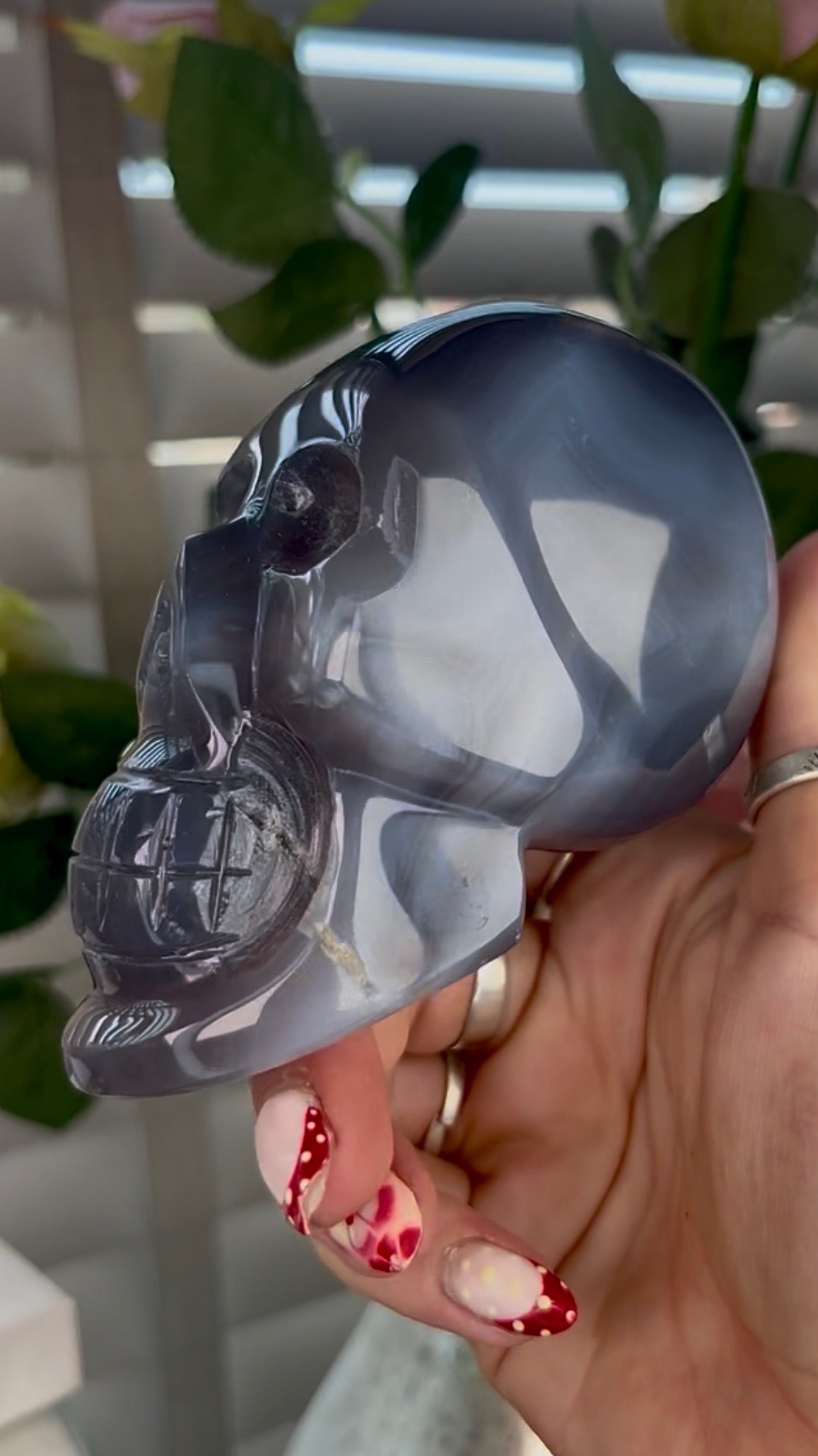 Beautiful, blue banded agate skull