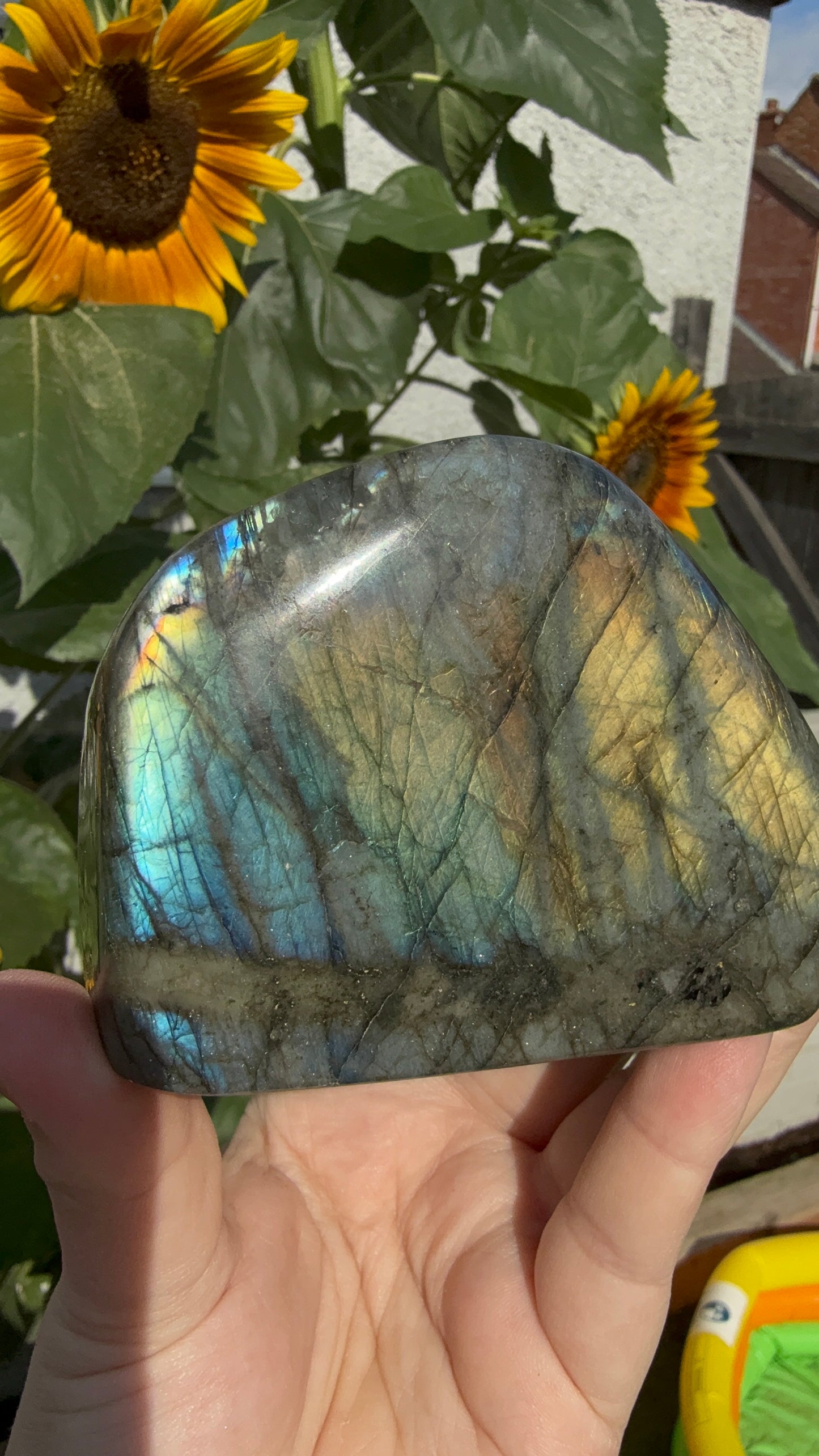 Flashy golden yellow Labradorite Freeform 550g